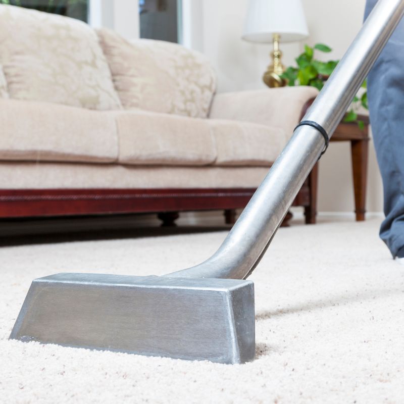 Deep Carpet and Rug Cleaning
